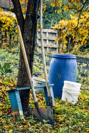 Do czego służą i czym są pojemniki plastikowe?