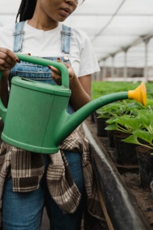 Jaki zbiornik do magazynowania deszczówki wybrać?