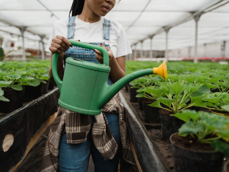 Jaki zbiornik do magazynowania deszczówki wybrać?