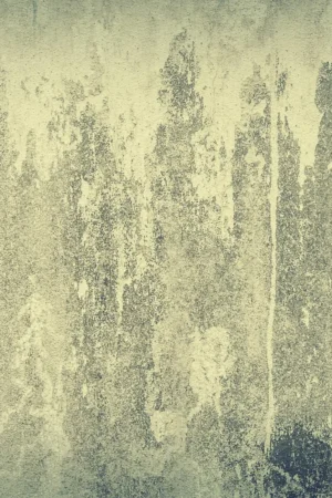 Jak wybrać efektywne szambo betonowe 4m3 i zbiorniki ogrodowe?