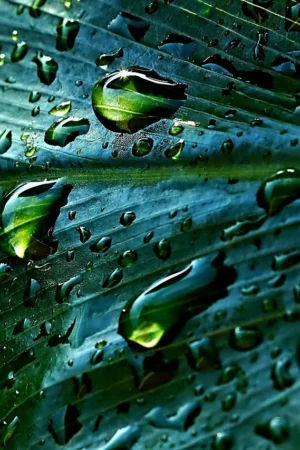 Oszczędzaj wodę i pieniądze dzięki nowoczesnym zbiornikom na deszczówkę