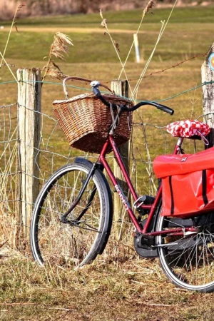 Przewodnik po siodełkach szosowych: komfort, serwis i wybór idealnych komponentów