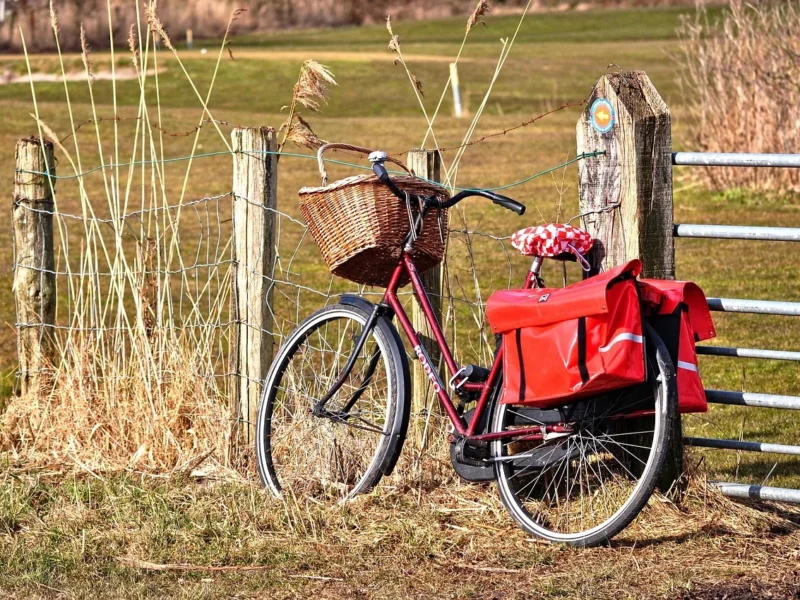 Przewodnik po siodełkach szosowych: komfort, serwis i wybór idealnych komponentów