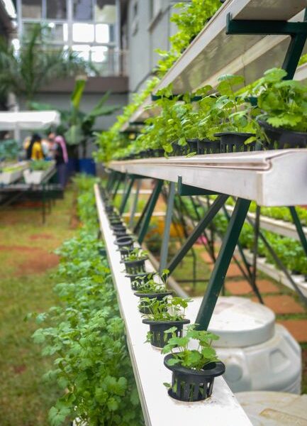 5 rozwiązań zero waste do ogrodu, które warto wypróbować w 2026 roku